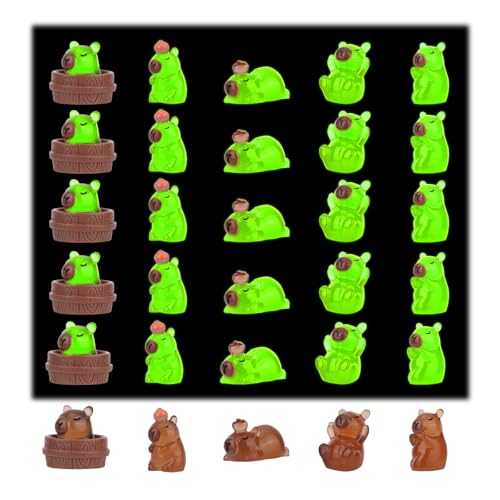 Tinoaly 30 Stücke Mini Resin Capybara, Winzige Capybara Statuen Nachtleuchtend Miniatur Tierfiguren Als Spielzeug Deko für Schreibtisch Puppenhaus und Bastelprojekte Tinoaly 30 Stücke Mini Resin Capybara, Winzige Capybara Statuen Nachtleuchtend Miniatur Tierfiguren Als Spielzeug Deko für Schreibtisch Puppenhaus und Bastelprojekte von Tinoaly