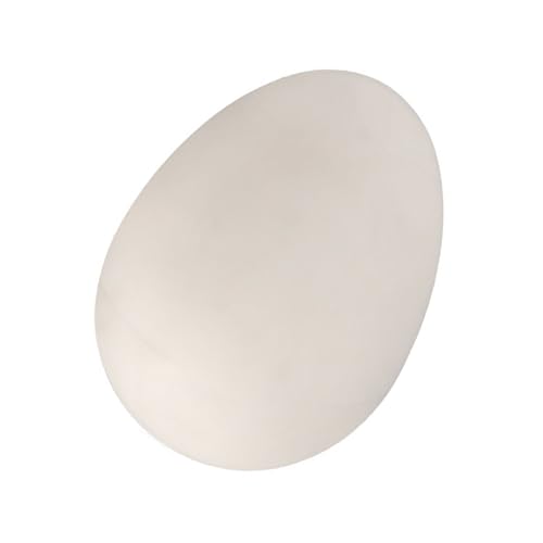 Tmboryuu Bouncy Eggs Practical Witz Requisiten Ideal Für Streiche Partys Und Magische Leistungen Spaßaktivität Party Streich Eggs Magische Requisiten Tmboryuu Bouncy Eggs Practical Witz Requisiten Ideal Für Streiche Partys Und Magische Leistungen Spaßaktivität Party Streich Eggs Magische Requisiten von Tmboryuu