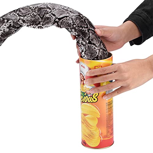 Tnfeeon Halloween Scary Snake Streich Spielzeug, lustige Kartoffel Chip Dosen Scary Trick Jump Spring Snake Spielzeug April Fool Day Halloween Party Supply von Tnfeeon