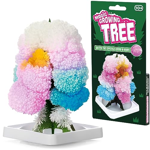 Tobar 04606 Magic Growing Tree, Various, 1-Pack von Tobar