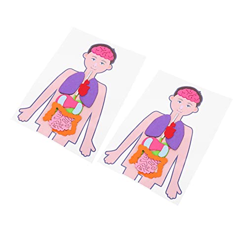 Toddmomy 2 Satz Selbstgemacht Organspielzeug für Kinder Lehrmodell des Menschlichen Körpers Pädagogisches Lernspielzeug für Anatomische Experimente Toddmomy 2 Satz Selbstgemacht Organspielzeug für Kinder Lehrmodell des Menschlichen Körpers Pädagogisches Lernspielzeug für Anatomische Experimente von Toddmomy