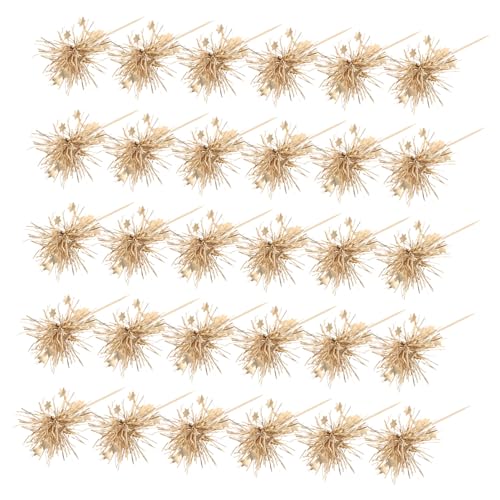 Toddmomy 100 Stück Teiliges Cake Insert Topper mit Glitzerlametta Vielseitige Dessertdekorationen für Geburtstags Festtagstorten Geeignet für Cupcakes Gebäck und Partyveranstaltungen Toddmomy 100 Stück Teiliges Cake Insert Topper mit Glitzerlametta Vielseitige Dessertdekorationen für Geburtstags Festtagstorten Geeignet für Cupcakes Gebäck und Partyveranstaltungen von Toddmomy