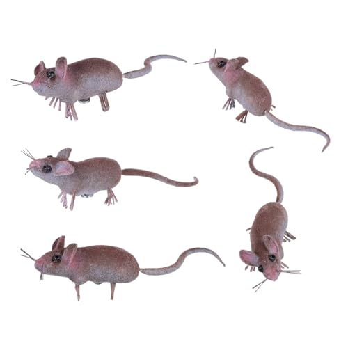 Toddmomy 5 Stück Teiliges Lebensechte Mini Mäusefiguren Realistische Tierattrappen für Mikrolandschaftsdekor Garten und Partydekoration Langlebige Kleine Spielzeugmodelle Toddmomy 5 Stück Teiliges Lebensechte Mini Mäusefiguren Realistische Tierattrappen für Mikrolandschaftsdekor Garten und Partydekoration Langlebige Kleine Spielzeugmodelle von Toddmomy