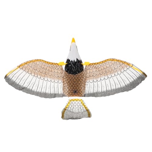 Toddmomy Elektrisches Hängendes Adler mit Musik und Licht Realistische Kindersicheres Leichtes Material Fördert Kreativität und Motorik Toddmomy Elektrisches Hängendes Adler mit Musik und Licht Realistische Kindersicheres Leichtes Material Fördert Kreativität und Motorik von Toddmomy