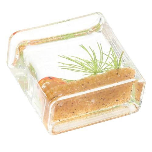 Toddmomy Miniatur Fischglas Aquarium Deko Ornament Kleines Mini Aquarium für Puppenhaus Detailreiche Tischdekoration Leichtes Miniaturmodell Warmes Wohnaccessoire DIY Toddmomy Miniatur Fischglas Aquarium Deko Ornament Kleines Mini Aquarium für Puppenhaus Detailreiche Tischdekoration Leichtes Miniaturmodell Warmes Wohnaccessoire DIY von Toddmomy