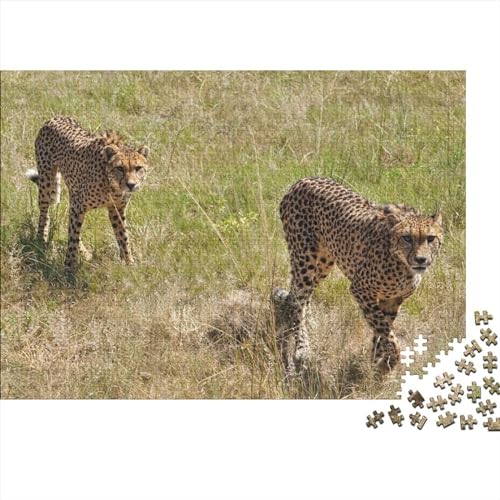 Jungle Cheetah Puzzle 500 Teile,Animal Puzzle Für Erwachsene, Impossible Puzzle,Puzzle Farbenfrohes Legespiel,Geschicklichkeitsspiel Für Die Ganze Familie 500pcs (52x38cm) von ToeTs
