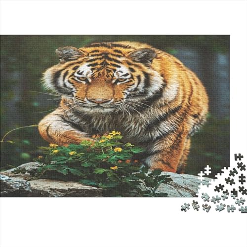 Jungle Tiger Puzzle 1000 Teile Animal Puzzle Erwachsene 1000 Teile Puzzle Geschenkideen 1000pcs (75x50cm) von ToeTs