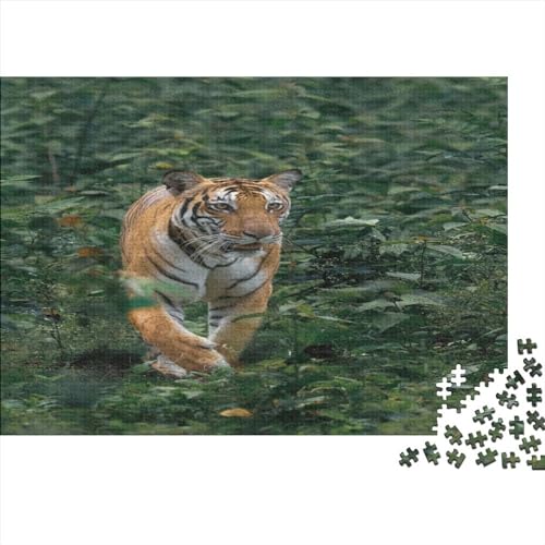 Jungle Tiger Puzzles 500 Teile,Puzzle Für Erwachsene, Impossible Puzzle,Animal Puzzle Farbenfrohes Legespiel,Geschicklichkeitsspiel Für Die Ganze Familie 500pcs (52x38cm) von ToeTs