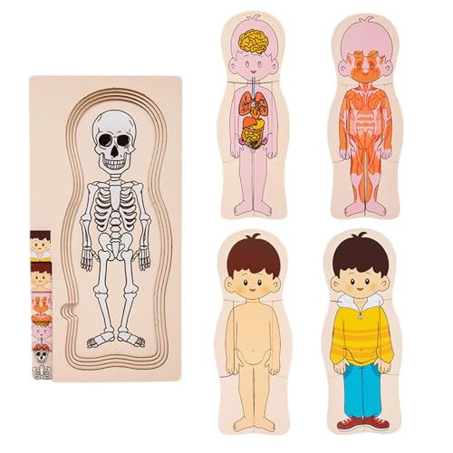 Puzzle mit Körperteilen aus Holz, Holzpuzzle mit menschlichen Körpern - Lern-Anatomie-Puzzle-Skelett-Spielzeug | Lern-Anatomie-Puzzle, Skelett-Spielzeug, Modell-Puzzle für den menschlichen Körper, um von Toliya