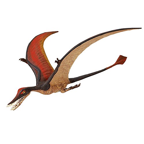 Toob Rhamphorhynchus von Safari Ltd.