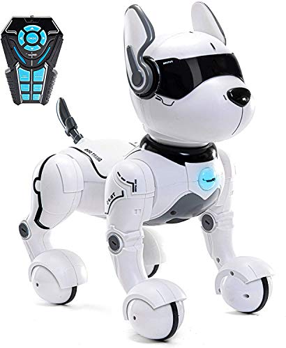 Top Race Ferngesteuertes Roboter-Hundespielzeug für Kinder, interaktives und intelligentes Tanzen, um den Welpenroboter zu schlagen, benimmt sich wie echte Hunde, Geschenkspielzeug für Mädchen und Jun von Top Race