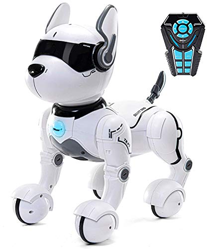 Top Race Ferngesteuertes Roboterhund mit Licht und Sound, Interaktives Hundespielzeug, Welpen Roboter tanzt intelligent zum Beat, elektronisches Haustier für Kinder von 3,4,5,6,7,8,9 von Top Race