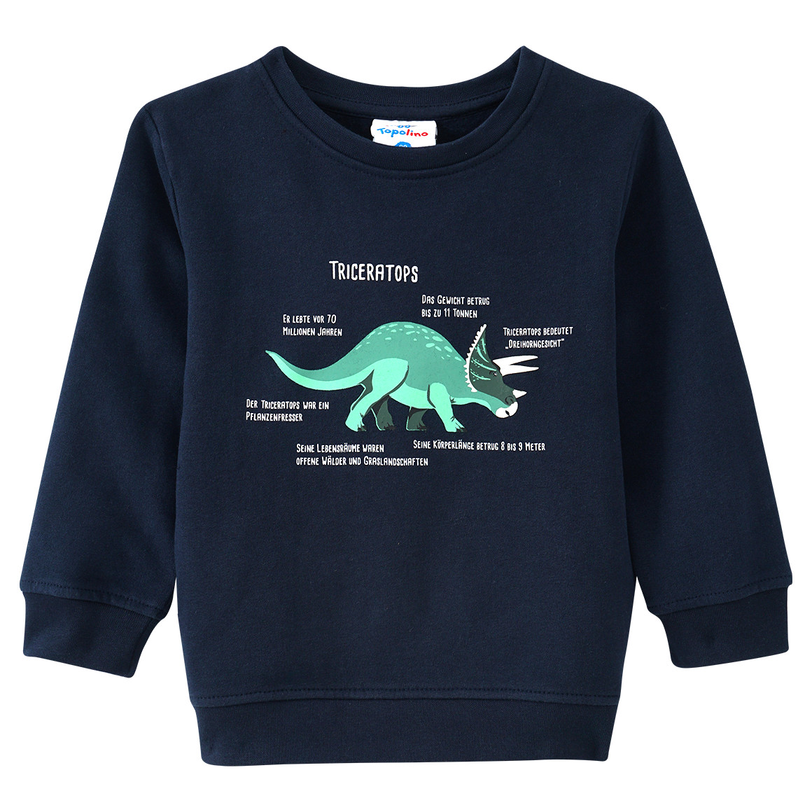 Kinder Sweatshirt mit Triceratops-Motiv von Topolino