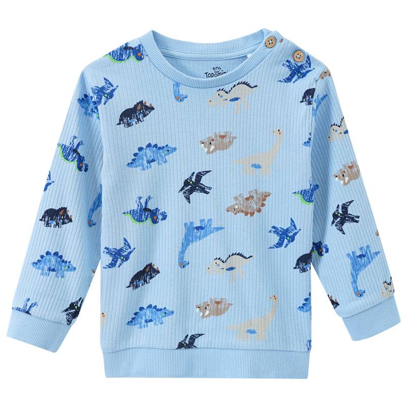 Baby Langarmshirt mit Dinosaurier-Print von Topomini