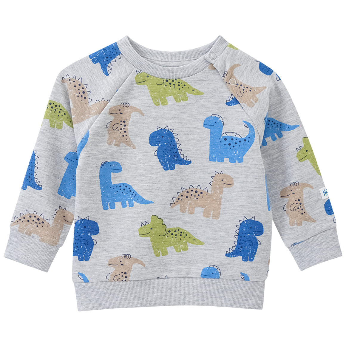 Baby Sweatshirt mit Dinos allover von Topomini