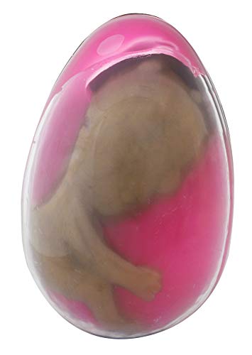 Toyland® 8,5 cm Alien Egg Toy - Alien In GOO & Plastikei - Neuheit & Gag Toys von Toyland