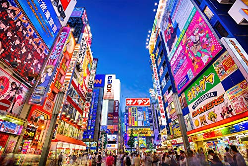 toynk Puzzle "Abend in Akihabara" für Erwachsene und Kinder, 1000 Teile von Toynk