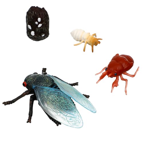 Toyvian 1 Satz Cicada Lebenszyklus Figuren Teiliges Lernspielzeug für Sichere Materialien als Goodie Bag Füller Realistische Farben Vielseitig Einsetzbar für Unterricht und Dekoration Toyvian 1 Satz Cicada Lebenszyklus Figuren Teiliges Lernspielzeug für Sichere Materialien als Goodie Bag Füller Realistische Farben Vielseitig Einsetzbar für Unterricht und Dekoration von Toyvian