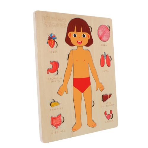 Toyvian 1 Satz Puzzle Zur Struktur des Menschlichen Körpers Kinderwerkzeuge Kinderrätsel Rätsel Spielzeuge Puzzlekleber Puzzlematte Kinderspielzeug Schaufensterpuppe Puzzle Holz von Toyvian