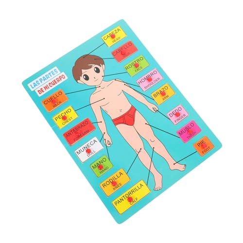 Toyvian 1 Satz Spanisches Rätsel Kindererkennungsspielzeug Anatomie Spielen Körperteile Puzzle Holz Puzzle Spielzeug Puzzle-Spielzeug für den menschlichen Körper Früherziehungsspielzeug von Toyvian