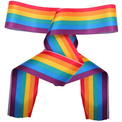 Toyvian 2st LGBT-gürtel Regenbogenschärpe Für Lesben Regenbogenschal Für LGBT Gay-Pride-schärpe Bachelorette-regenbogenstola Abschluss-regenbogenschärpe Stolz Bilden Braut Requisiten Stoff von Toyvian