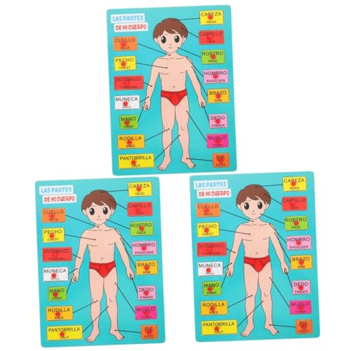 Toyvian 3 Sätze Spanisches Rätsel Körperteile Puzzle Holz Puzzle Spielzeug Modellpuzzle des menschlichen Körpers Puzzle-Spielzeug für den menschlichen Körper Kindererkennungsspielzeug von Toyvian