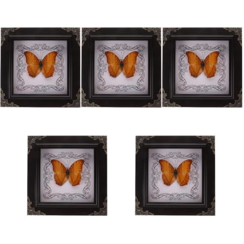 Toyvian 5St Fotorahmen mit Schmetterlingsmuster Schmetterling Schmetterling hängende Dekorationen Schmetterlingsexemplare Ornament mit Schmetterlingsrahmen Anzeigerahmen hölzern von Toyvian