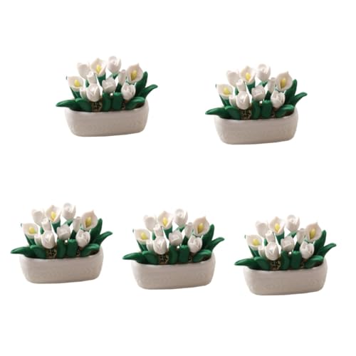 Toyvian 5st Calla-lilien-topfpflanze Miniatur-Bonsai Schmücken Mini-topfpflanzen Mini-hausdekoration Miniatur-dekor Miniaturpflanzen Mini-Bonsai Simulationsbonsai Mini-hausblume Weiß Harz von Toyvian