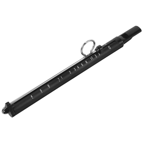 Toyvian Du Instrument Pfeife Flasche Blasspielzeug Siegel Aufkleber Pole Gleitflöte Pfeifenrutsche Babylöffel Kleine Herzaufkleber Rutschpfeife Für Erwachsene Flaggen Paket Abs Black von Toyvian