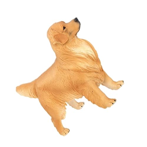 Toyvian Golden Retriever-Ornament Fotografie-Requisiten Hundefiguren Szenenlayout-Requisite Schöne Hundemodellverzierung Hunde Tiere Dekoratives Tiermodell Desktop- Plastik von Toyvian