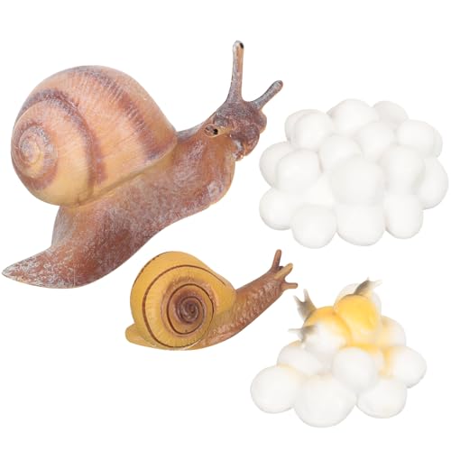 Toyvian Lernspielzeug Tier Wachstumszyklus Modell Realistische Schnecke Huhn Tierfiguren für Frühe Bildung und Spielerisches Lernen für Mädchen und Jungen Toyvian Lernspielzeug Tier Wachstumszyklus Modell Realistische Schnecke Huhn Tierfiguren für Frühe Bildung und Spielerisches Lernen für Mädchen und Jungen von Toyvian