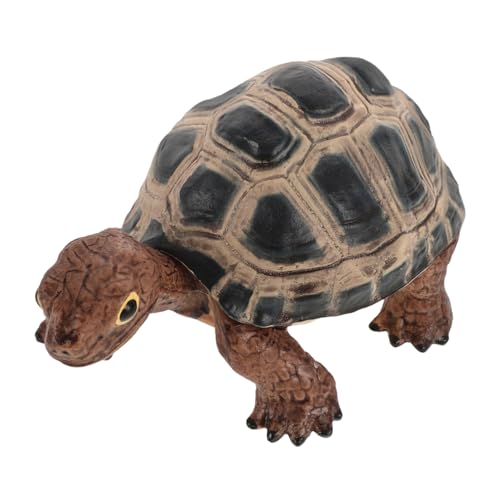 Toyvian Schildkröten-Modell Schildkrötenfigurenmodell Gartenschildkröte Aquarium-schildkröten-Ornament Schildkröten-simulationsmodell Schildkrötenbabyfigur Lernspielzeug Für Kinder PVC von Toyvian