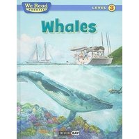 Whales von Treasure Bay