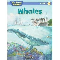 Whales von Treasure Bay