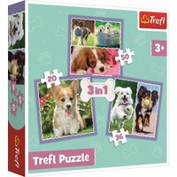 3 in 1 Puzzle - Hunde (Kinderpuzzle) von Trefl