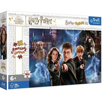 Junior Super Shape XL Puzzle 160 Teile - Harry Potter von Iden, Ilja Maximilian