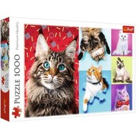 TREFL 10591 Puzzle 1000 Teile Happy Cats von Trefl