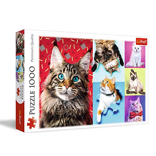 Trefl 10591 Lustige Katzen 1000 Teile, Premium Quality, für Erwachsene und Kinder ab 12 Jahren Puzzles von Trefl