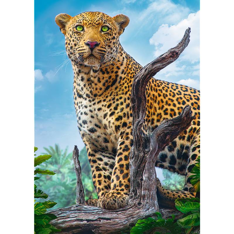 Trefl Leopard 500 Teile Puzzle Trefl-37332 von Trefl