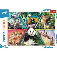 Königreich der Tiere (Puzzle) Königreich der Tiere (Puzzle) von Trefl