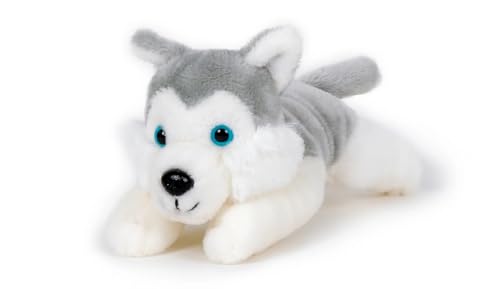 Trigon Stofftier Husky, Hund, 15 cm, Pettie, Kuscheltier, Plüschtier, Hunde Haustier von Trigon