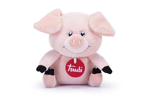 Trudi Friends Schwein Kleines Plüschschwein, Trudino Geburtstagsgeschenk | 13x13x12cm Größe XS | Trudini-Freunde | Modell 29484 von Trudi