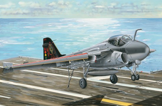 A-6E/TRAM INTRUDER von Trumpeter