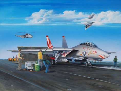 F-14A Tomcat von Trumpeter