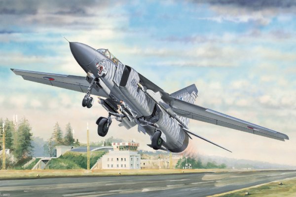 MiG-23ML Flogger-G von Trumpeter