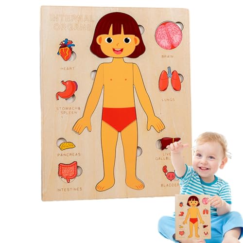 Tuxxjzm Menschliches Körperpuzzle,Anatomie Holzpuzzle Spielzeug für Kinder - Buntes Lernspielzeug zur wissenschaftlichen Aufklärung, pädagogisches Puzzlespielzeug für den Kindergarten von Tuxxjzm