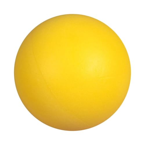 Tuxxjzm Silent Basketball Dribbling Indoor Schaumstoff-Basketball Lautloser Basketball Training Foam Ball Indoor-Spielzeug Für Kinder Mute Ball Trainings Basketball Für Zuhause Indoor Aktivitäten von Tuxxjzm