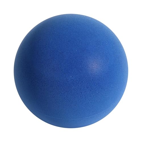 Tuxxjzm Silent Basketball Dribbling Indoor Schaumstoff-Basketball Lautloser Basketball Training Foam Ball Indoor-Spielzeug Für Kinder Mute Ball Trainings Basketball Für Zuhause Indoor Aktivitäten von Tuxxjzm