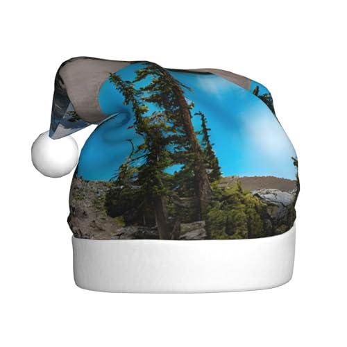 UENFFKDAP Rocky Mountains Plüsch Weihnachtsmützen Erwachsene Weihnachtsmützen Unisex Samt Bequeme Weihnachtsfeier Hüte Neujahr Party Dekorationen von UENFFKDAP