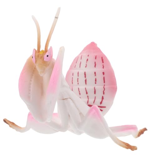 UKCOCO Realistisches Mantis Tiermodell Kunststoff Insektenspielzeug für Junge Mädchen Pädagogisches und Dekoratives Insektenmodell für Zuhause Schule und Kindergarten UKCOCO Realistisches Mantis Tiermodell Kunststoff Insektenspielzeug für Junge Mädchen Pädagogisches und Dekoratives Insektenmodell für Zuhause Schule und Kindergarten von UKCOCO
